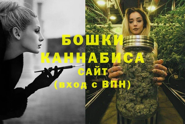 сатива Армянск