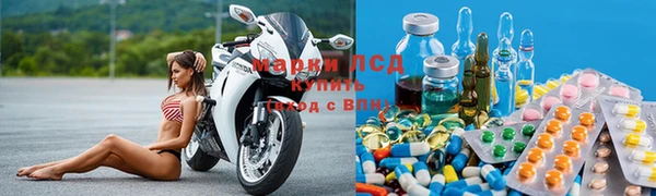 сатива Армянск
