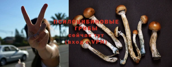 мяу мяу мука Аркадак