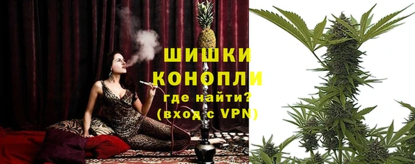 мяу мяу мука Аркадак
