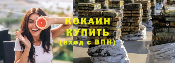 сатива Армянск