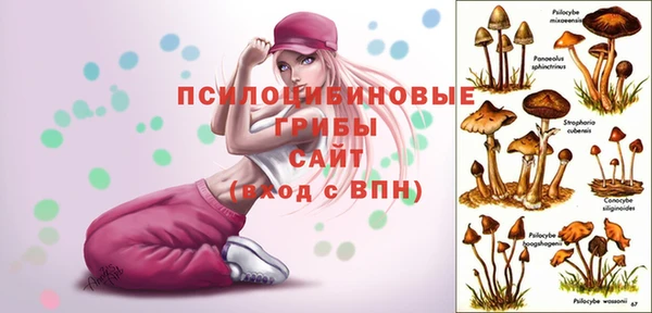 дживик Покачи