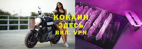 мяу мяу мука Аркадак